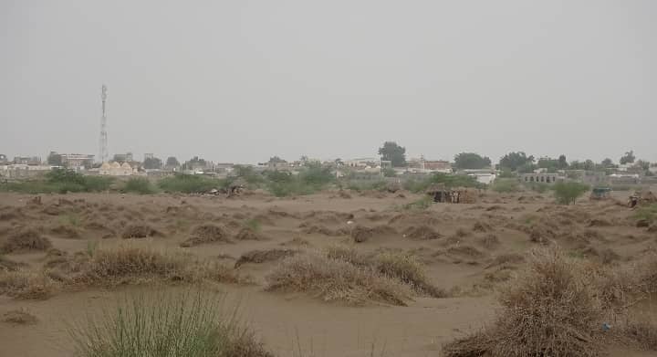 المليشيات الحوثية تستهدف بالقذائف المدفعية مزارع المواطنين في التحيتا